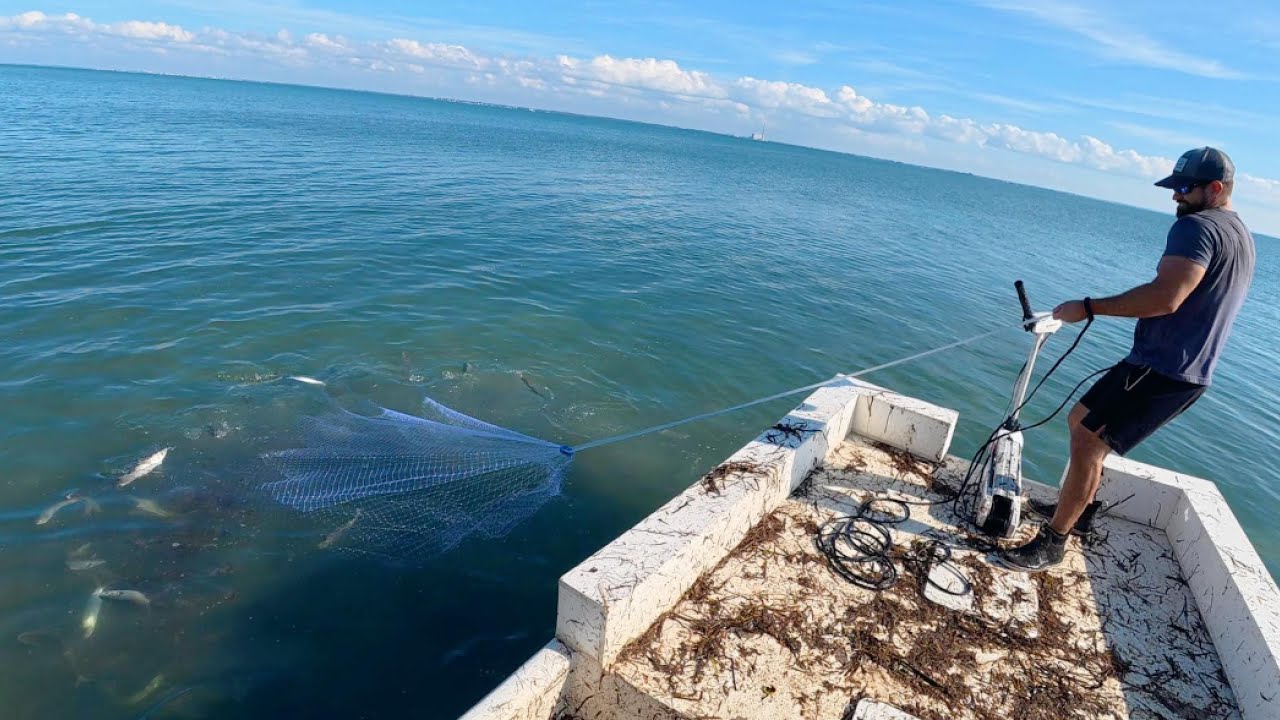 So Much Mullet I Couldn't Lift The Cast Net! My Biggest Throw Ever!