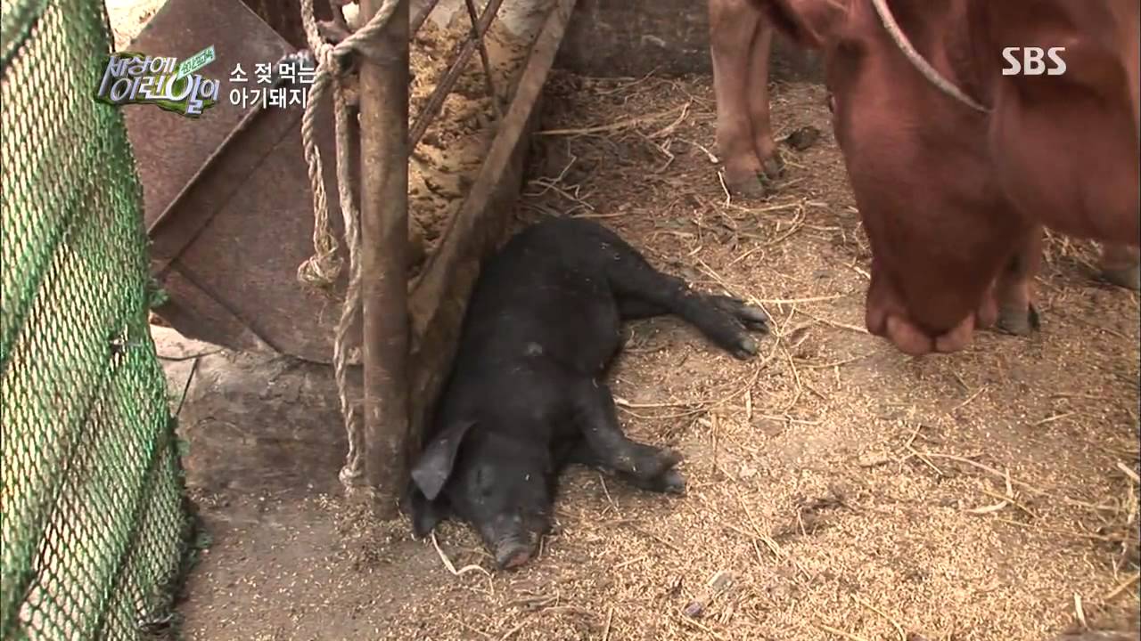 Instant Capture (Им Сон Хун). Пак Со Хён) 130912 #14 (6)