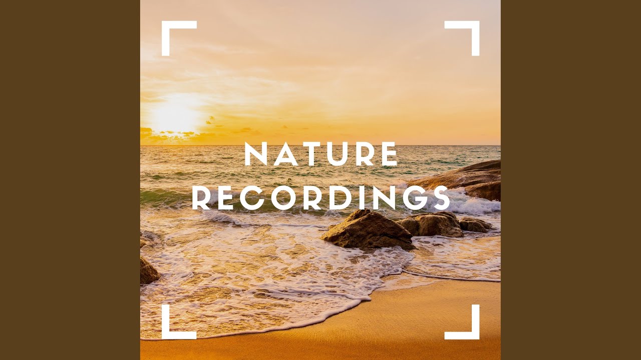 Never Ending Waves