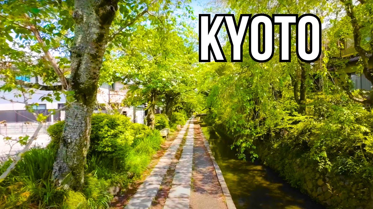 Kyoto Philosopher's Path Walk | ASMR 4K