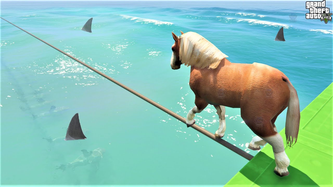 حصان يجازف من فوق أسماك القرش 🐸 GTA 5 - Horse Risky Walk Through The Sharks