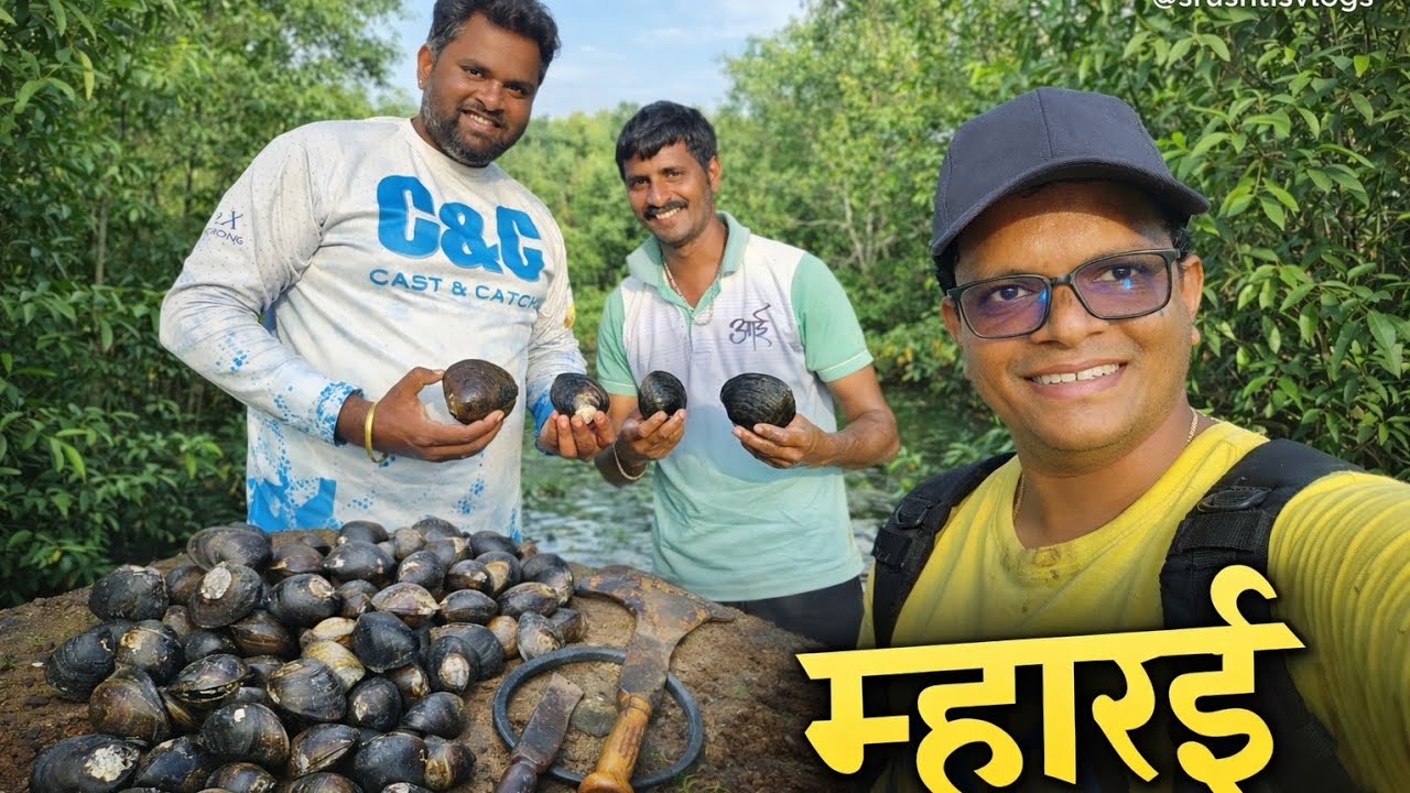 आज भरपूर दिवसांनी गेलो म्हारई (मोठा शिंपला ) काढायला , 88 म्हारई मिळाले 