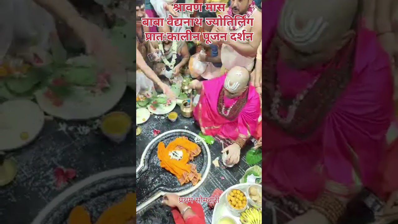 🌺🌿⚘️ बाबा वैद्यनाथ ज्योतिर्लिंग का श्रावण मास प्रातःकालीन पूजन 🌺🌿14/7/25 #श्रावण  #deoghar #babadham