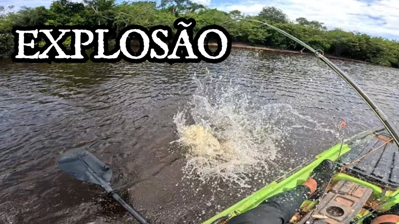 EXPLODIU DE PEIXE, NUNCA VI TANTO TUCUNAR&Eacute; - Pescaria no S&iacute;tio Beira Rio em Roraima