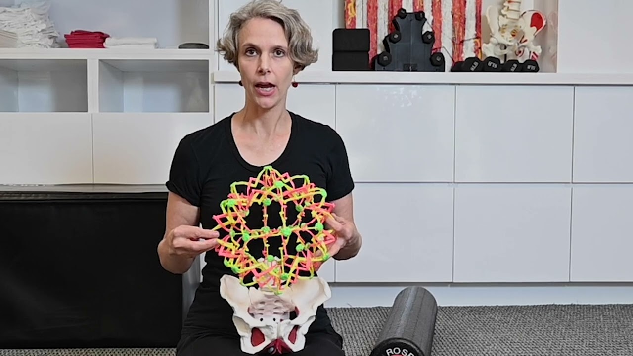 Introduction to Pelvic Floor Physical Therapy at Rose PT in Washington, DC