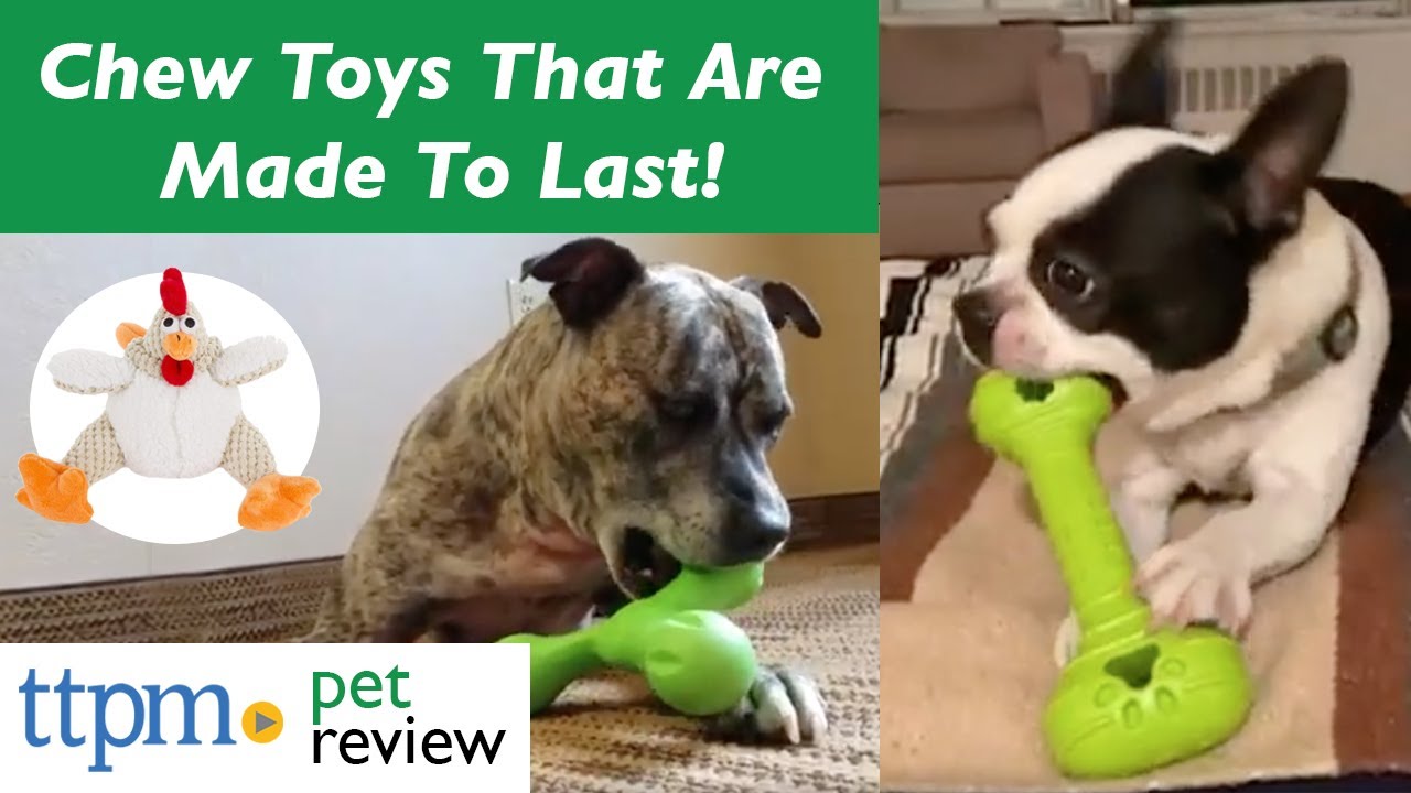 Dog Chew Toys That Were Made To Last For Small and Large Dogs!