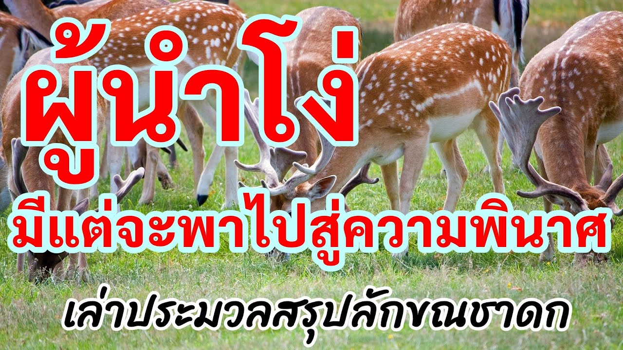 ผู้นำโง่มีแต่จะพาไปสู่ความพินาศ ไม่ควรให้คนโง่เป็นผู้นำ_เล่าประมวลสรุปลักขณชาดก