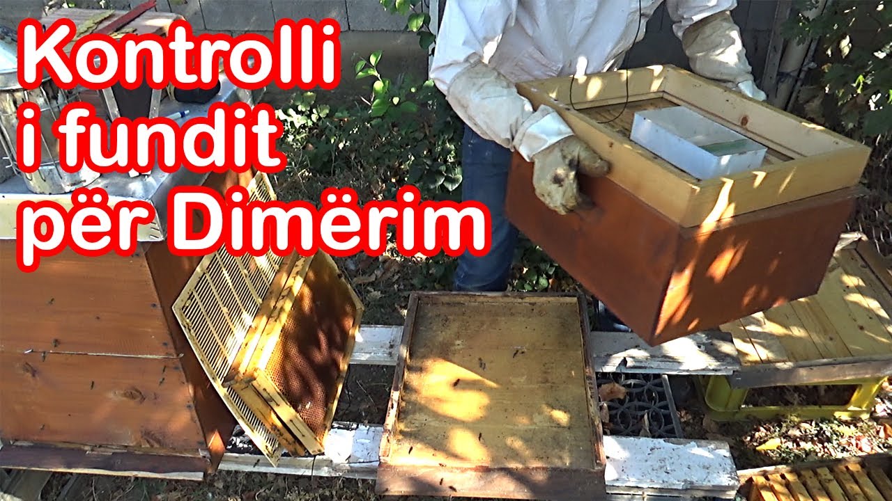 🔴Episodi 24: Kontrolli i fundit për dimërim