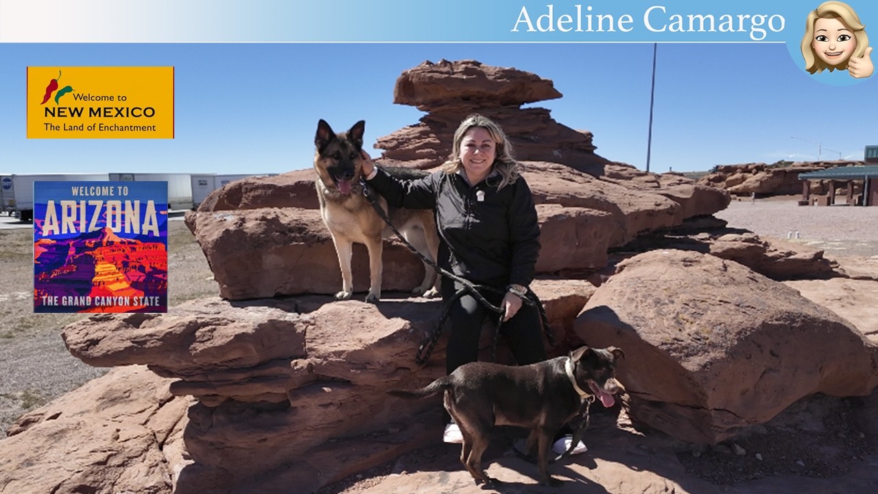 Do New México até Flagstaff Arizona, camping na montanha com o pico coberto de neve @AdelineCamargo