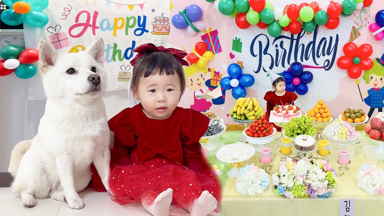 어린이집 생일상 준비하기 / 생일선물 40개 받았어요!! / 두돌아기 생일파티 / 어린이 크리스마스 드레스 / 빅 케이크 예약하기