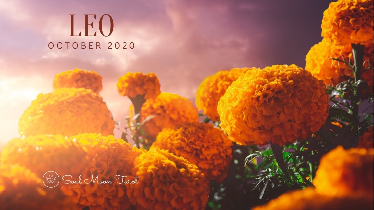 LEO October 2020