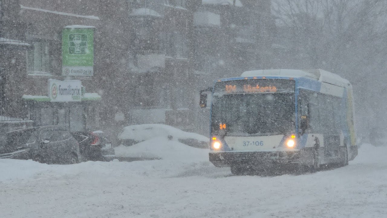 ❄️ Major blizzard brings 40 cm of snow to Montreal: the second storm in a week - February 16, 2025
