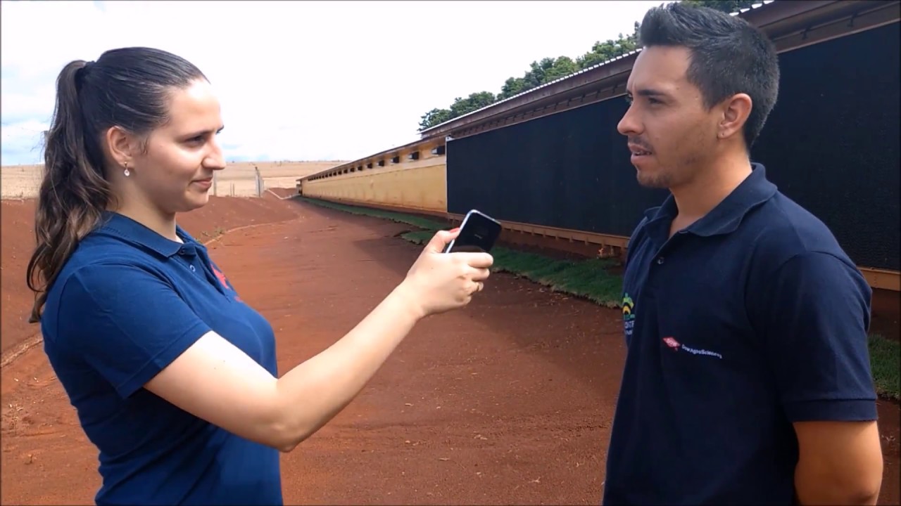 Zootecnia I - Manejo de frango de corte - Globo Rural