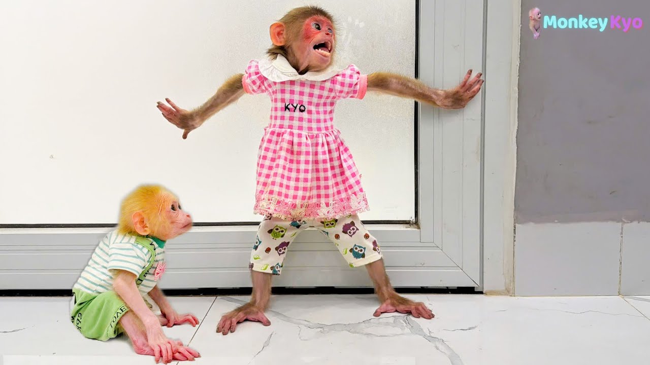 BuNa was in trouble&hellip; Monkey Kyo stepped in to protect him &ndash; A truly clever moment!