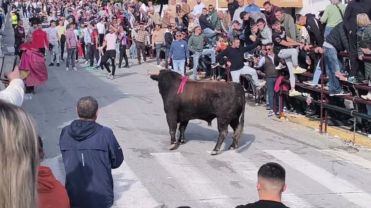 Toro del Barrio Bajo Enero 2026. Segundo Toro ( Tercer Video)