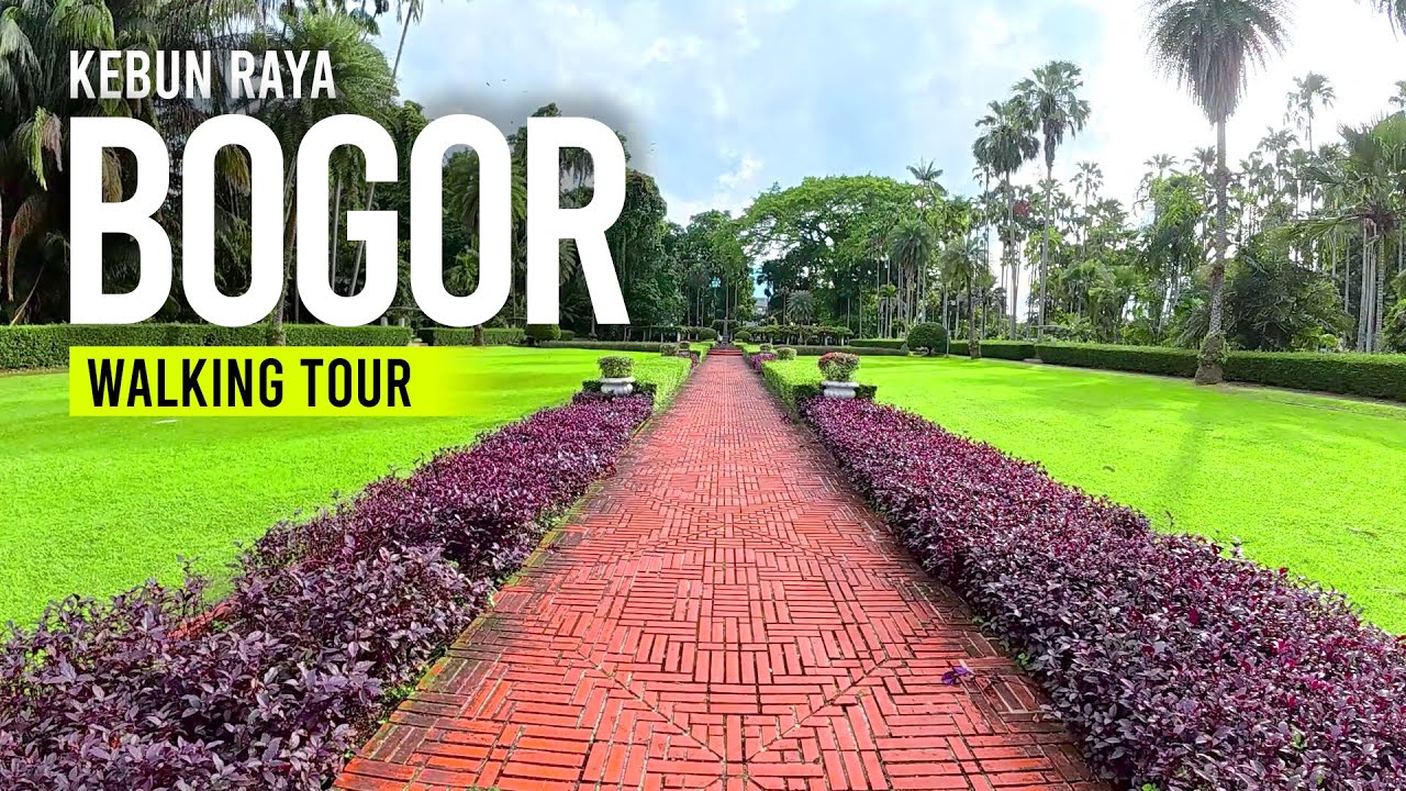 Walking Tour Kebun Raya Bogor | Suara, Aktifitas & Suasana Alam