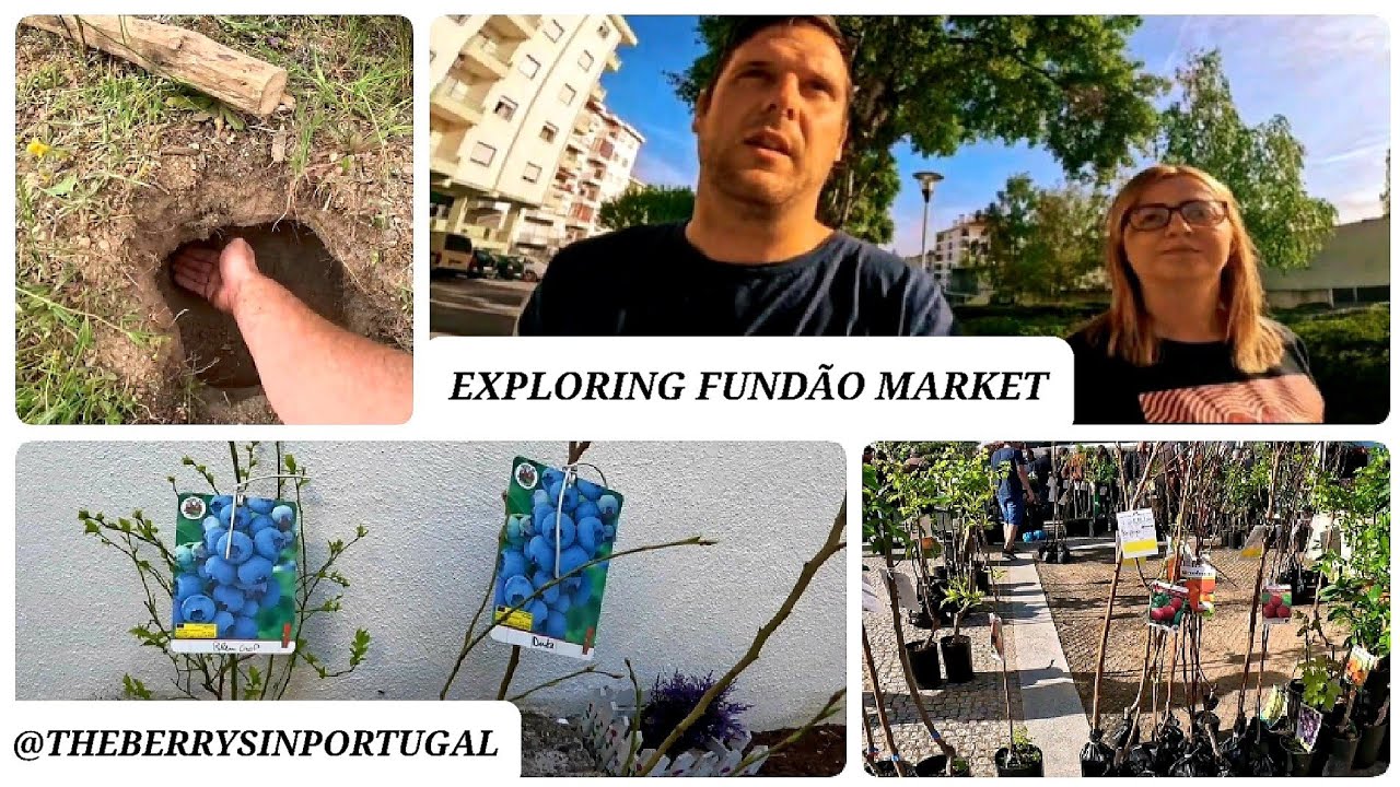 WEEKLY VLOG | EXPLORING FUNDAO MARKET | PORTUGAL