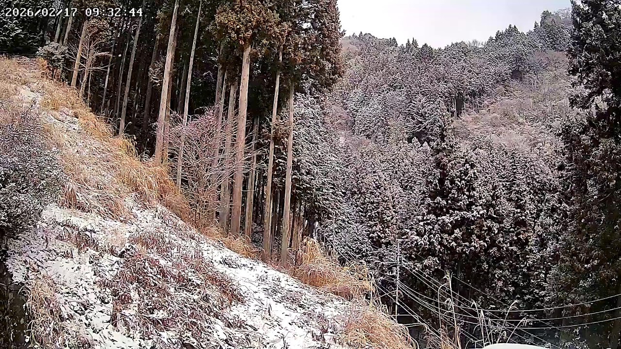 東京都西多摩郡檜原村森林ライブカメラ Tokyo Nishitama Live camera.world.cam