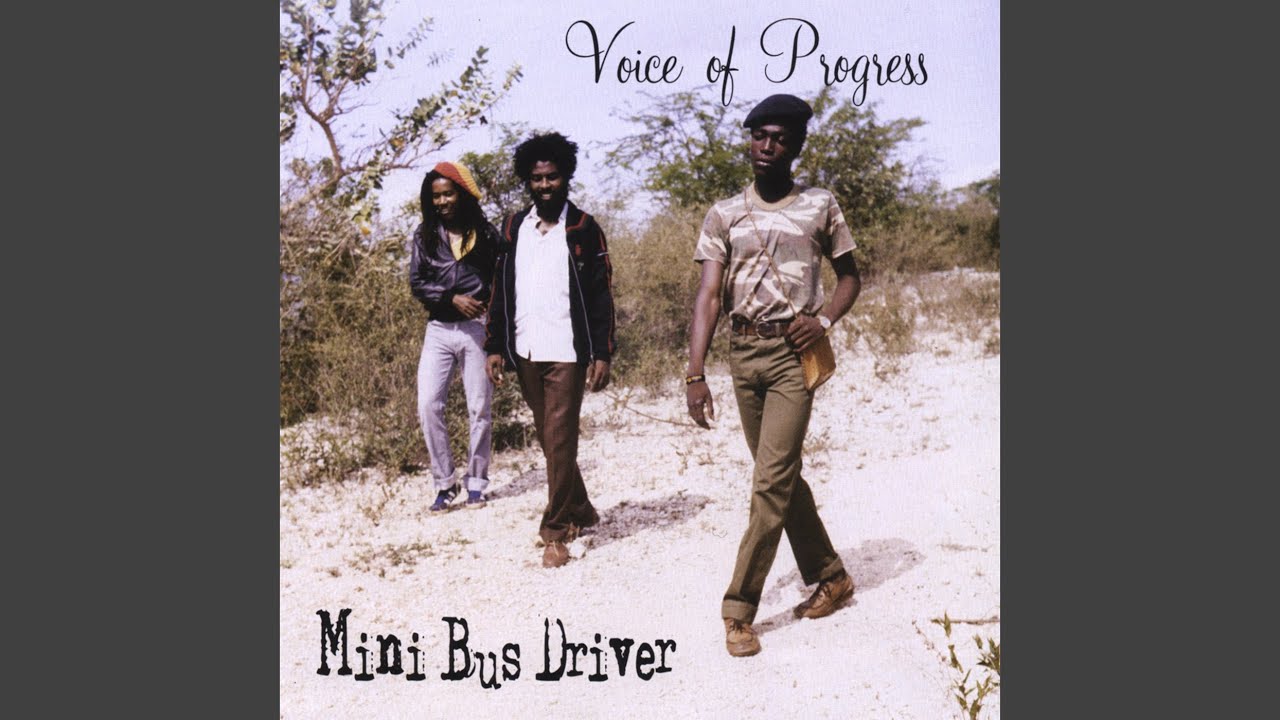 Mini Bus Driver