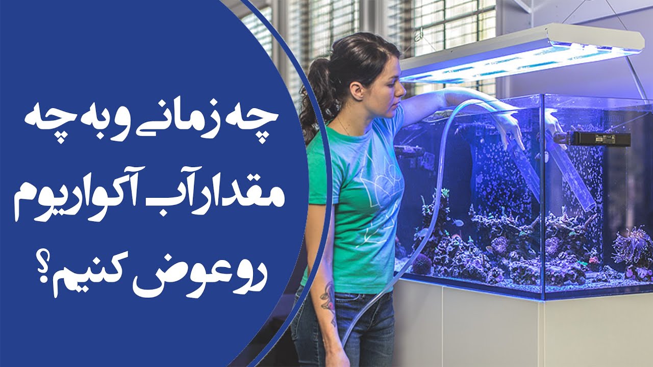 هرچند وقت یک بار و هر بار به چه مقدار از آب اکواریوم را عوض کنیم؟