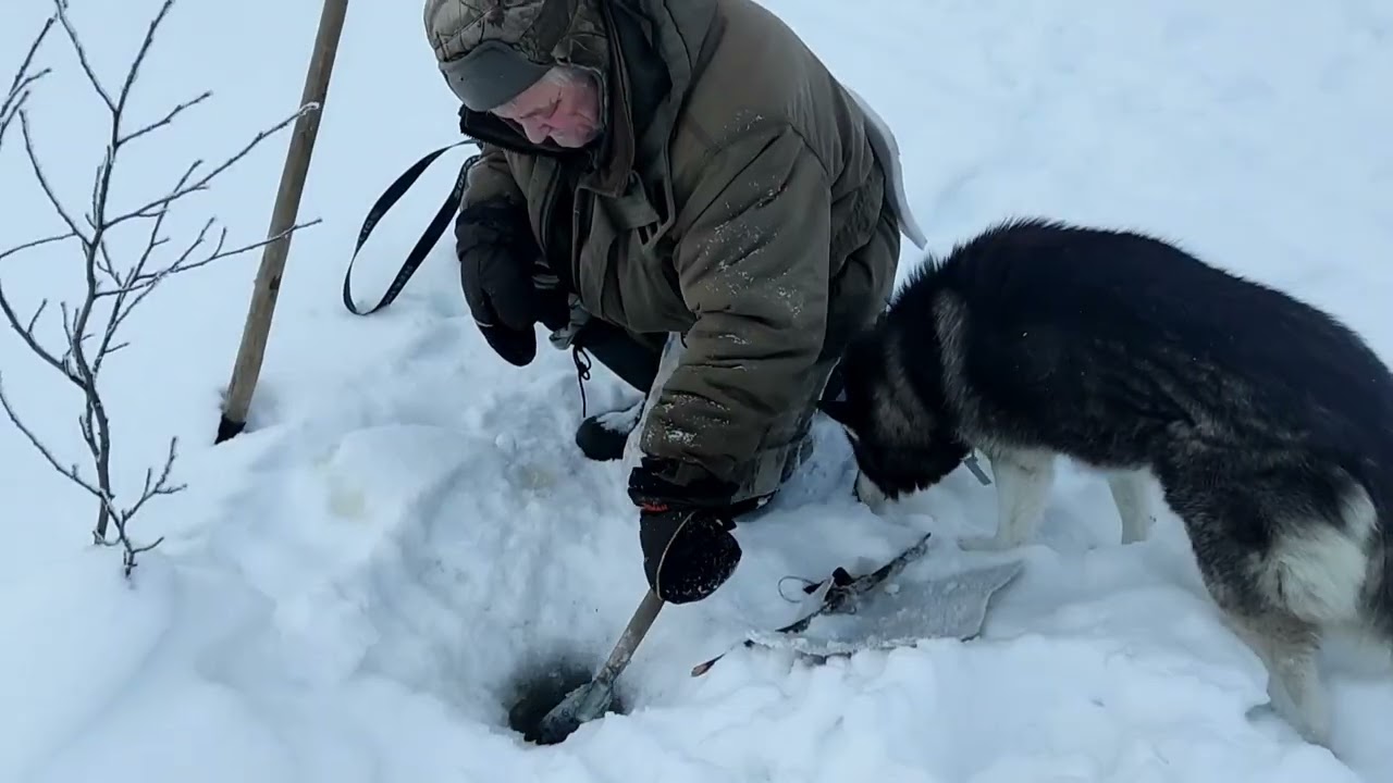 Рыбалка на озере. Февраль.