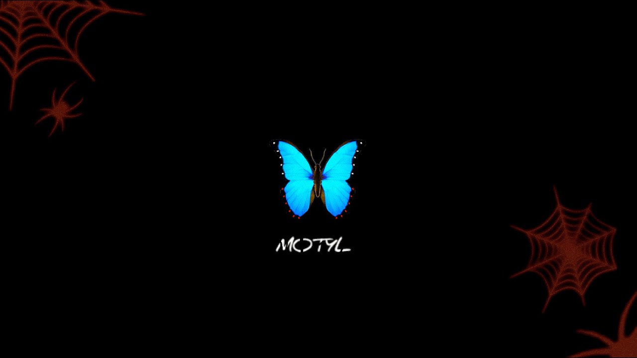 402.Damian - Motyl