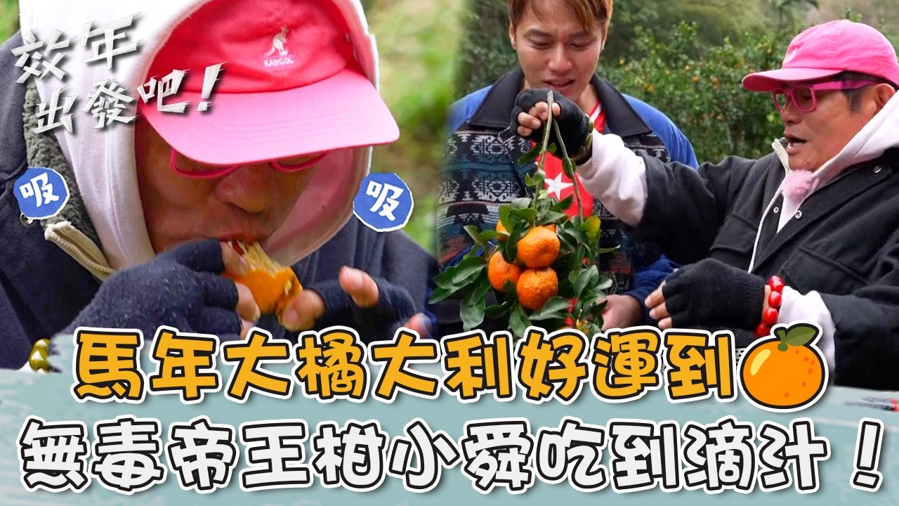 馬年大橘大利好運到🍊無毒栽種「帝王柑」水份超多許效舜吃到滴汁！【#效年出發吧】20260215 EP23 Part1｜📍新竹．北埔．竹東｜許效舜 張睿家