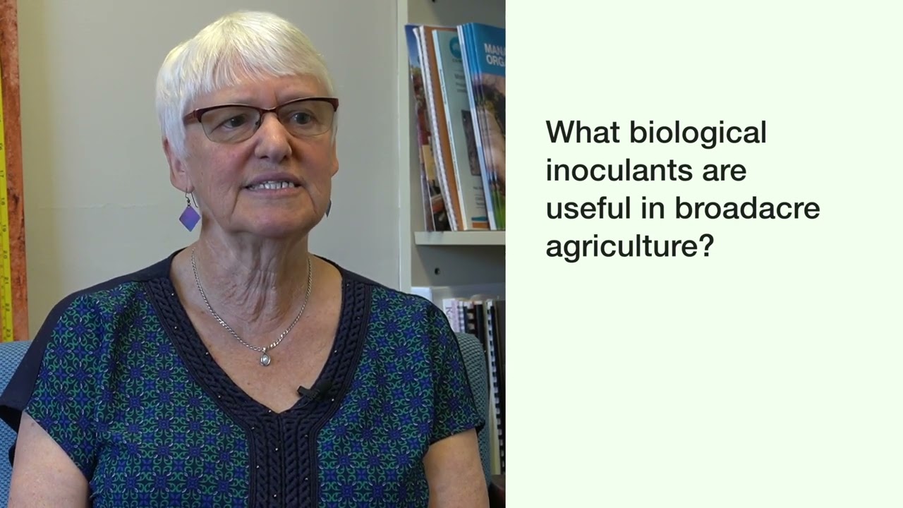 Efficacy and longevity of biological amendments in a farming system
