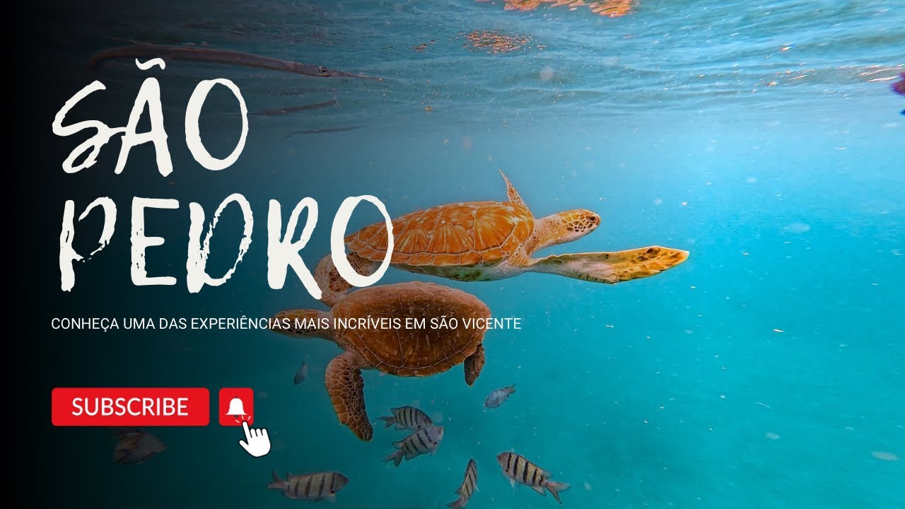 São Vicente, Cabo Verde: Snorkeling com Tartarugas e Cemitério de Búzios na Praia de São Pedro