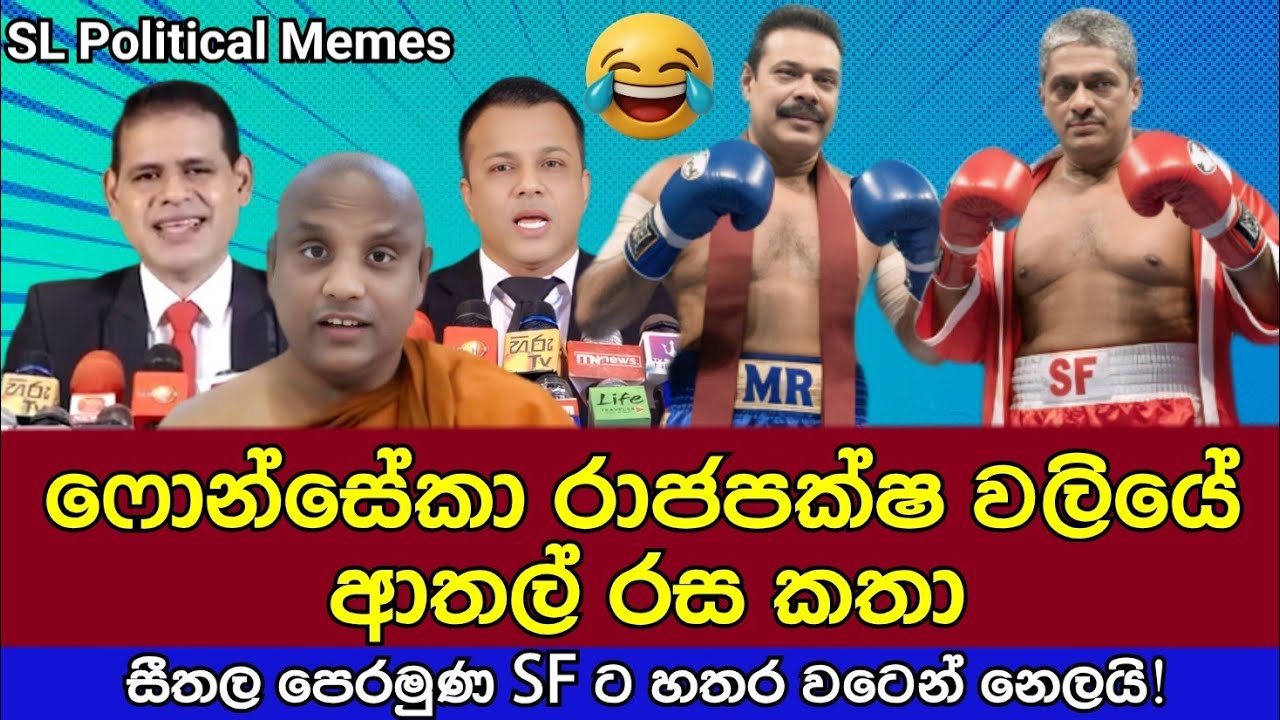 ෆොන්සේකා රාජපක්ෂ වලියේ ආතල් රස කතා 😂/Fonseka vs Mahinda/SL Political Memes EP 77/Black Flower/2025