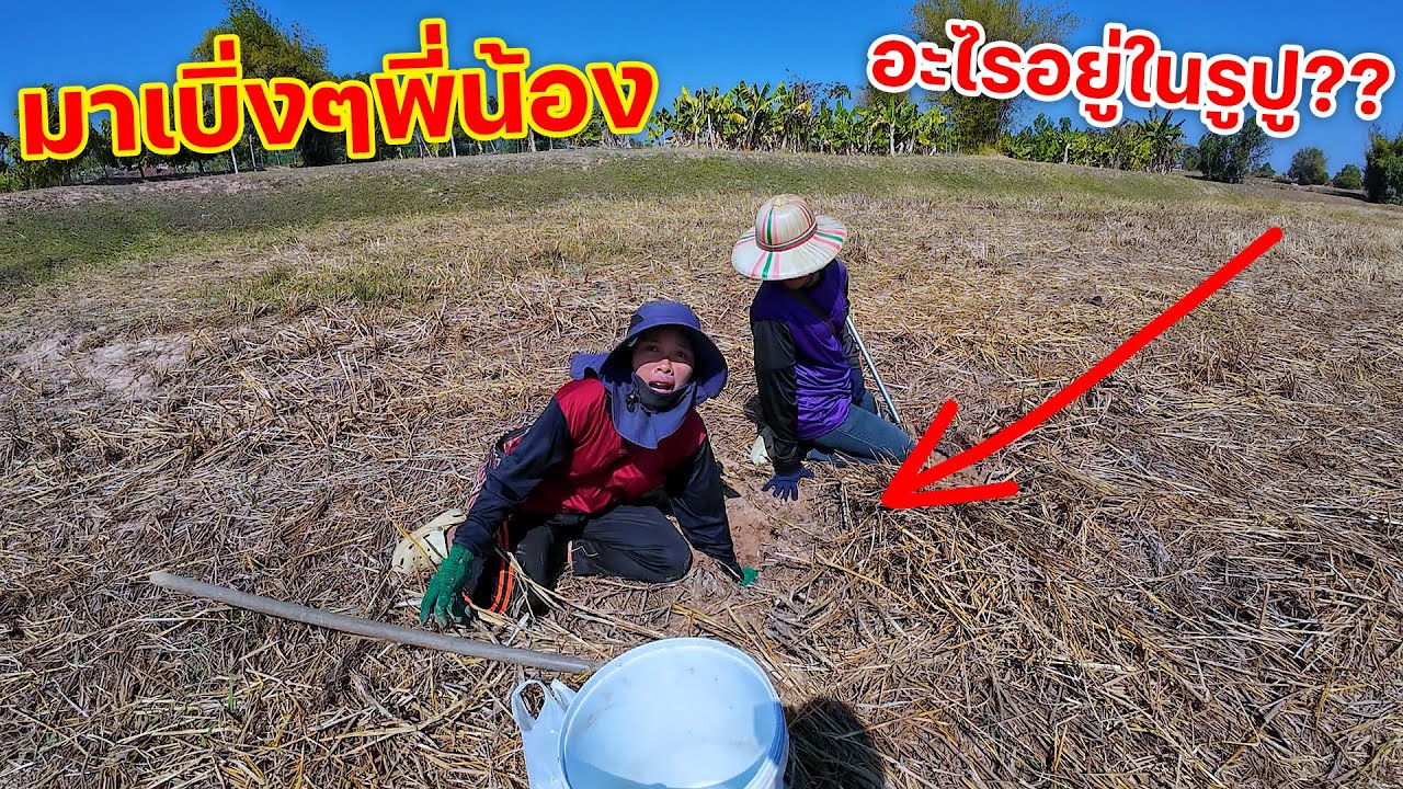 มาเบิ่งๆพี่น้อง อะไรอยู่ในรูปู?? หมานคัก