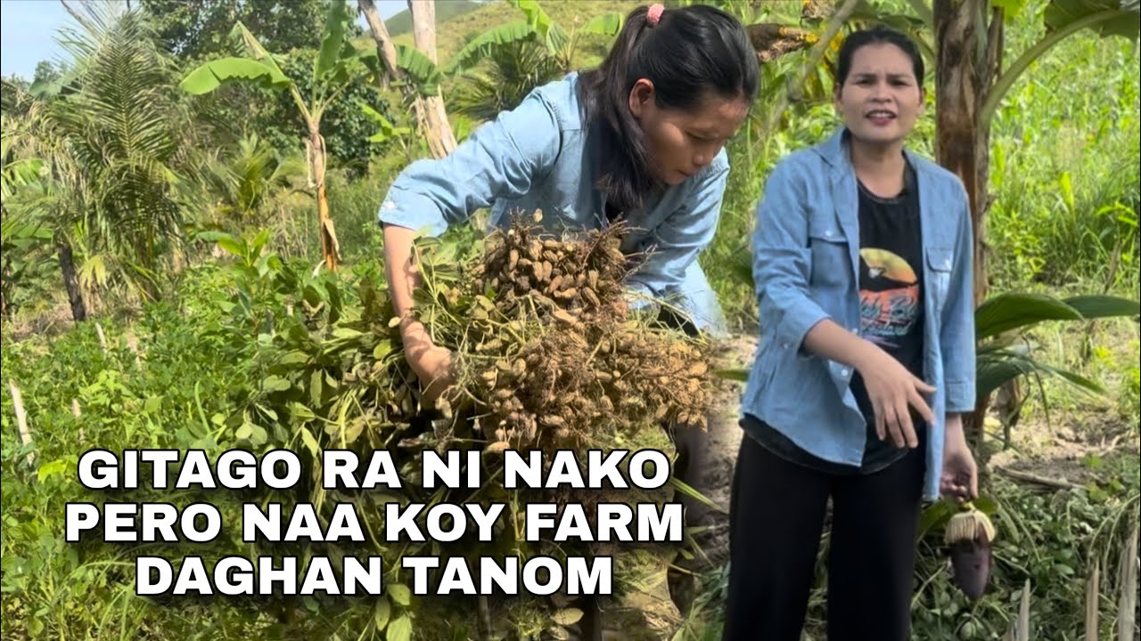 WELCOME TO MY FARM! GITAGO RA NI NAHO #florameboholana 