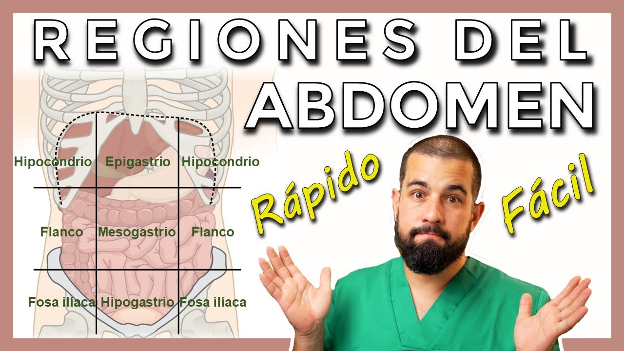 REGIONES ABDOMINALES. Hipocondrio. Flanco. Fosa ilíaca. Epigastrio. Hipogastrio