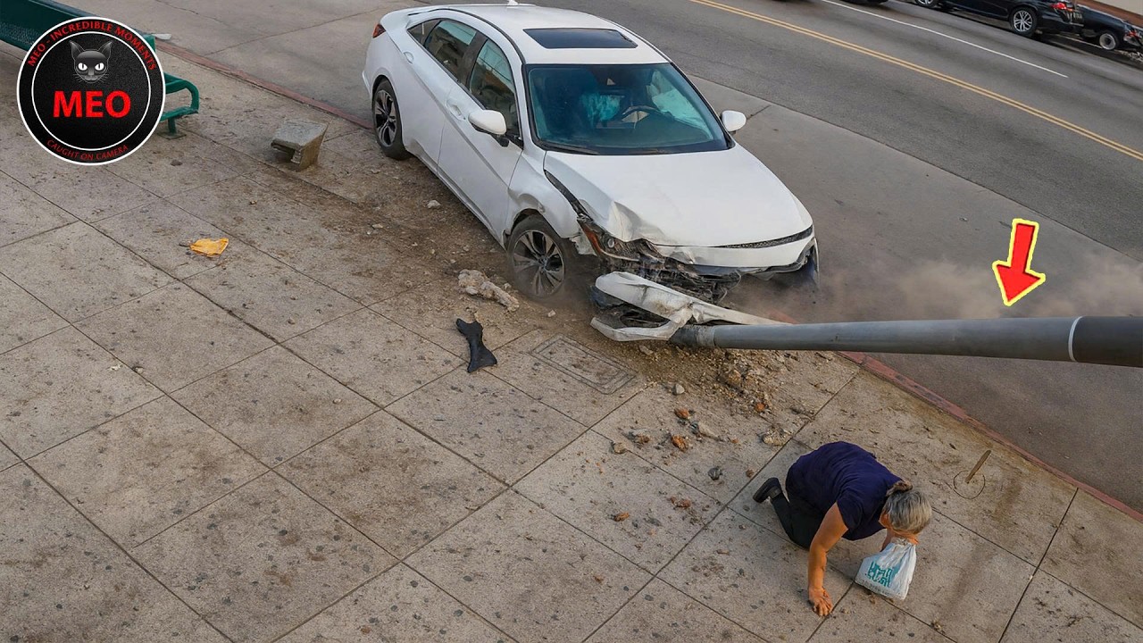 Incredible Moments Caught on Camera | You pay for the internet to see things like this (P203)