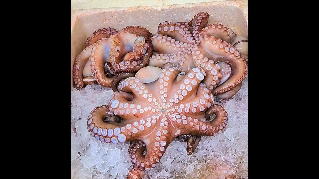 Lesvos 2023 Skala Kallonis - Kalloni - Moni Panagios