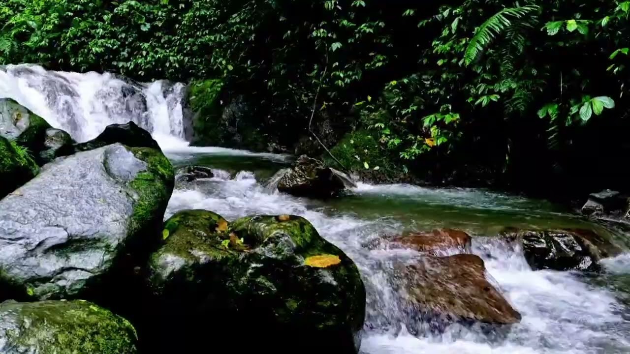 10 Hour Calming River Flow Ambience  No Music • Just Water