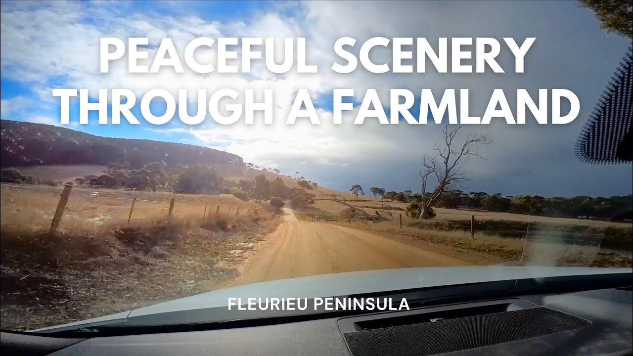 A DRIVE through a SOUTH AUSTRALIAN Farmland | Adelaide, South Australia