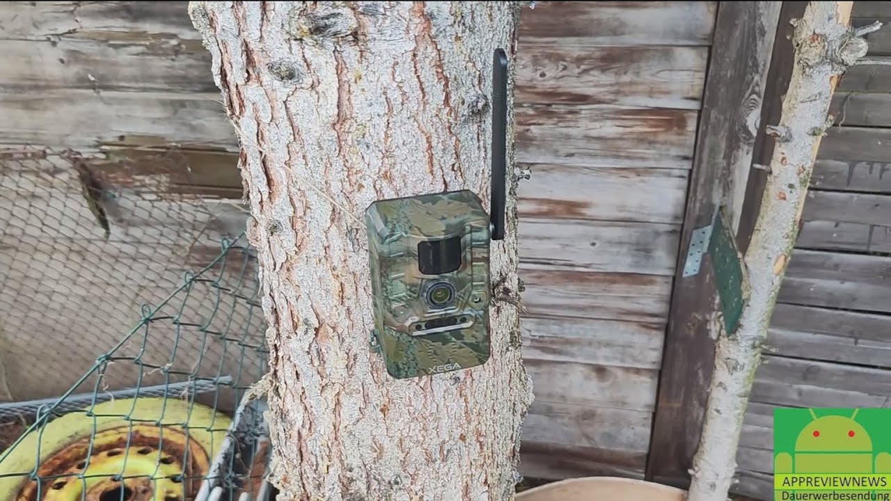 Livebilder aus dem Garten oder  Wald: Test & Review der XEGA XG11 4G LTE Wildkamera
