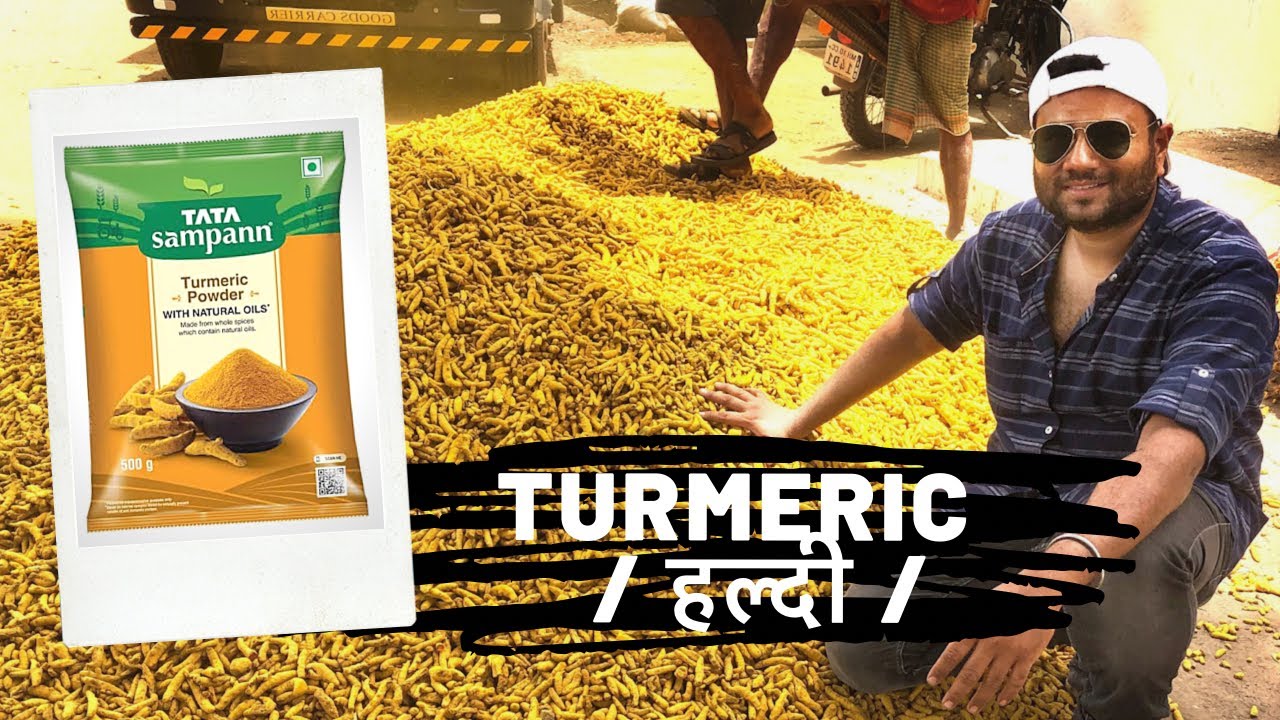 Turmeric : How it's Made ? हलदी कैसे बनायीं जाती है | My most worked project || Amazing turmeric