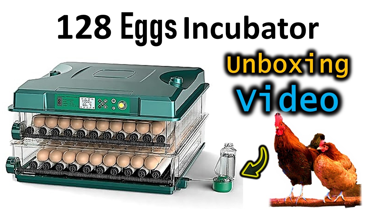 Chinese Incubator Unboxing II Automatic 128 Eggs Capacity II Abiram Agrotech 9705475355