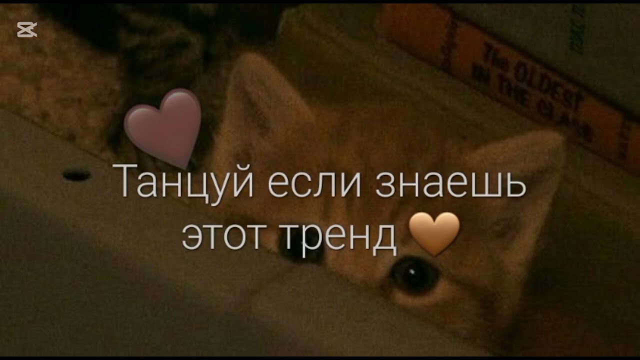 Танцуй если знаешь этот тренд 2025 года🤎💫