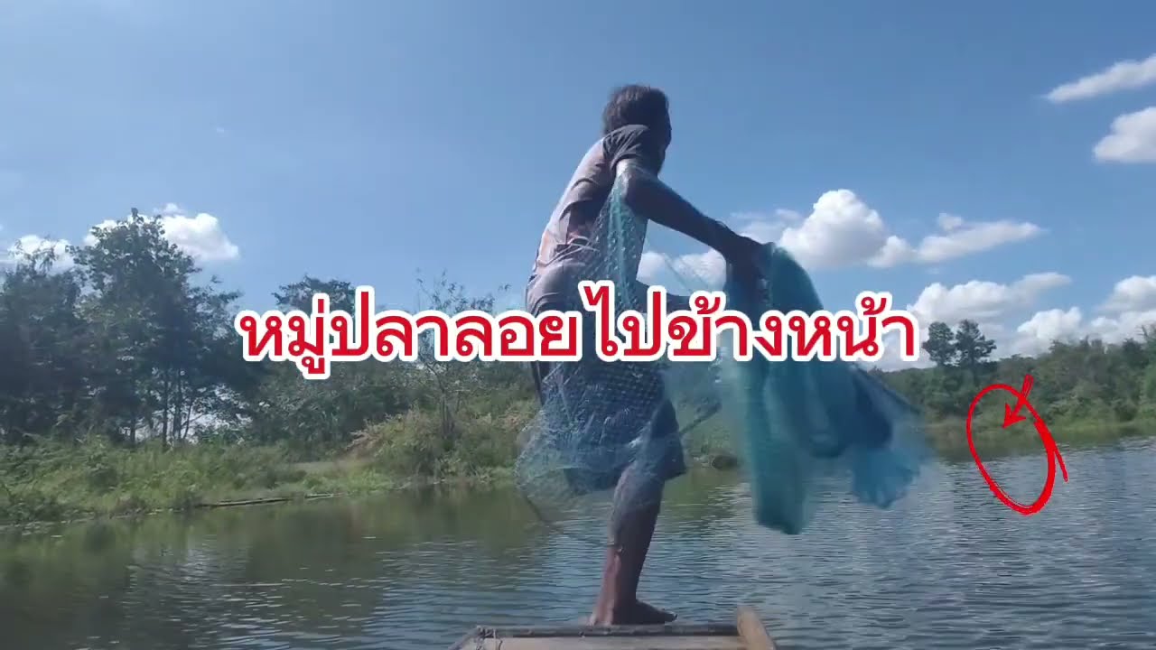 หว่านแหหมู่ปลาสร้อย