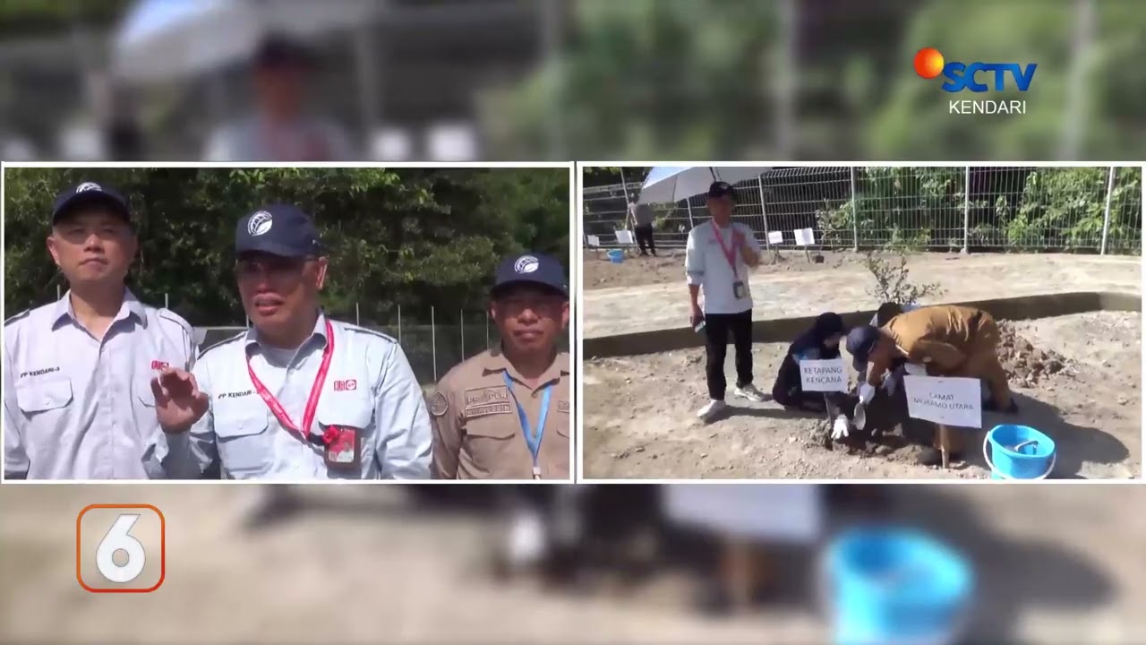 PT DSSP POWER SELAMATKAN BUMI DENGAN PENANAMAN BERBAGAI JENIS TANAMAN