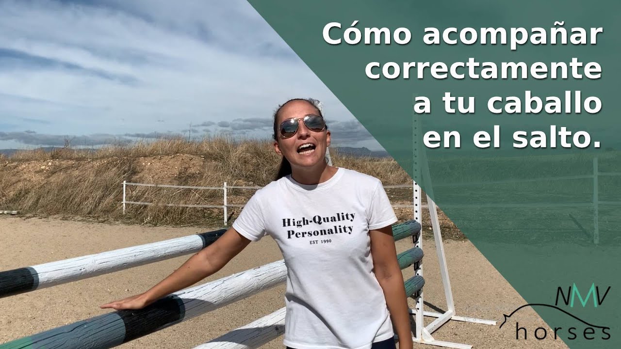 🐴Cómo acompañar correctamente en el salto a tu caballo🐴Aprende a montar a caballo paso a paso🐴