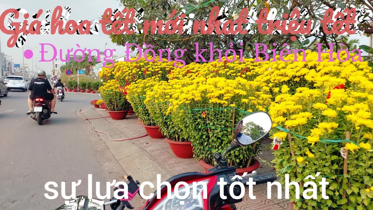 Cấp nhật  mới nhất gía hoa tết triệu 25 tết trên  đường Đồng khởi  TP Biên Hòa 