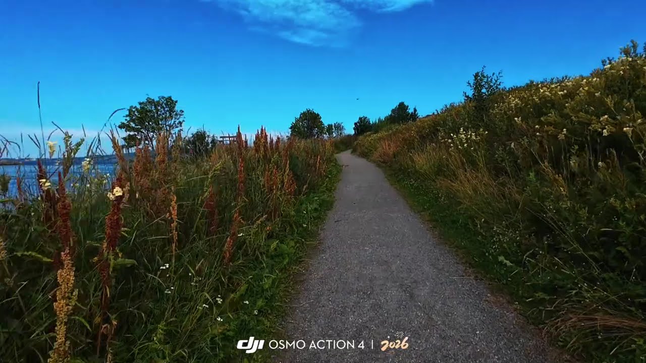 NORTHERN NORWAY #SOLO HIKE#SALTEN#SUMMER 2025 