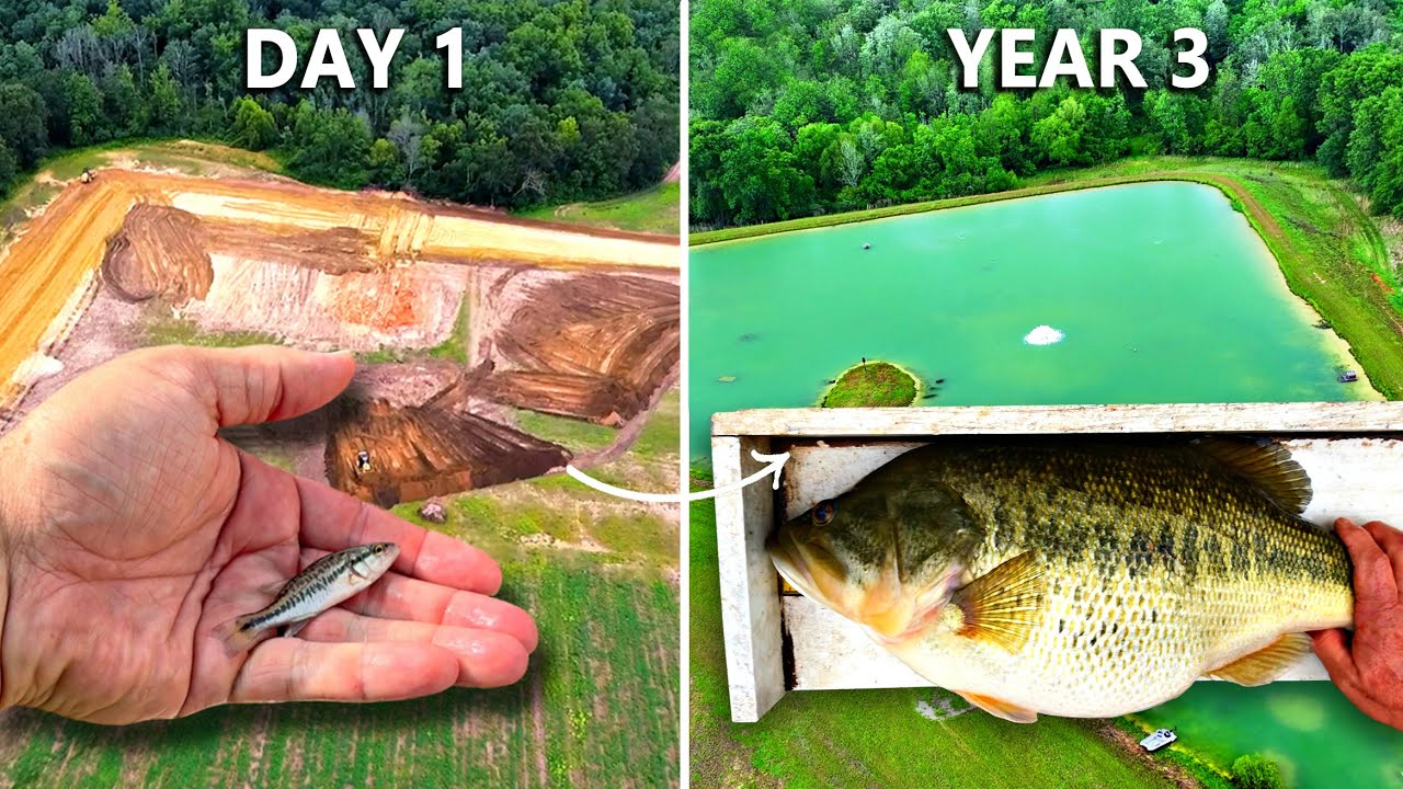 We Added Bass to the 5 Acre Pond 3 Years Ago (Surprising Results)