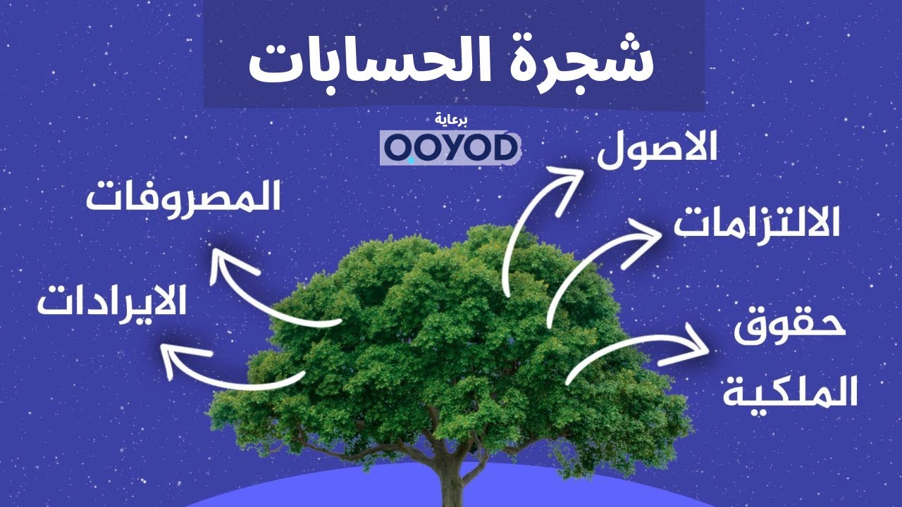 شجرة الحسابات - اتقنها لتصبح محاسب محترف