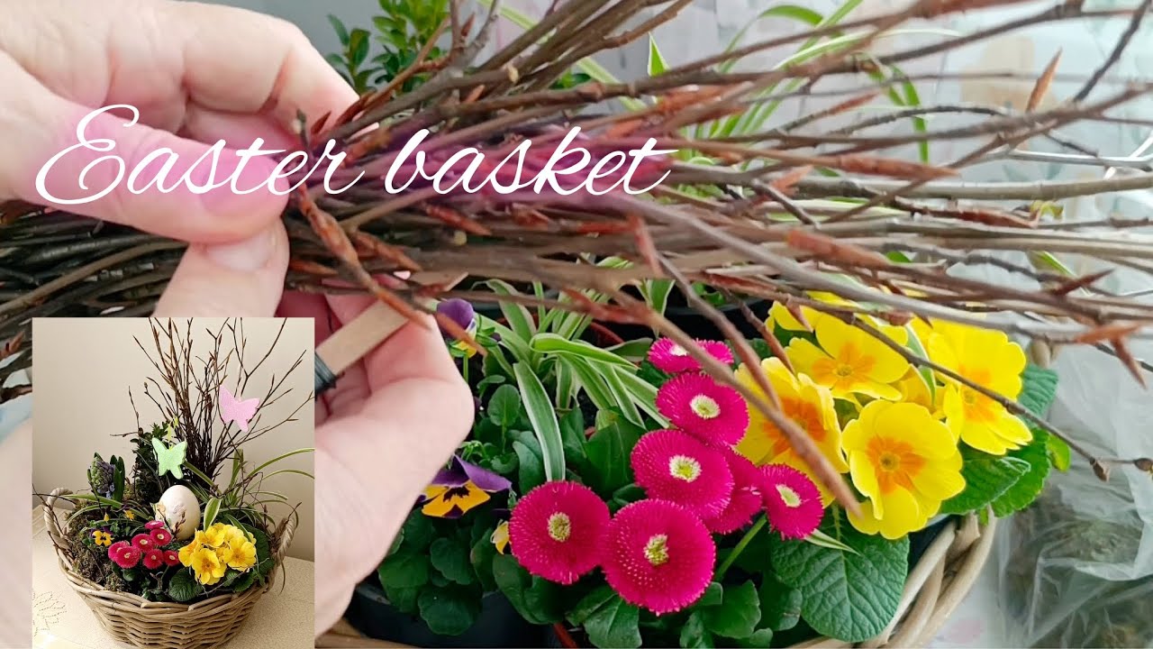 Velikonoční venkovní koš🦋jarní jednoduchá dekorace🐣primule sasanka hyacint maceška 