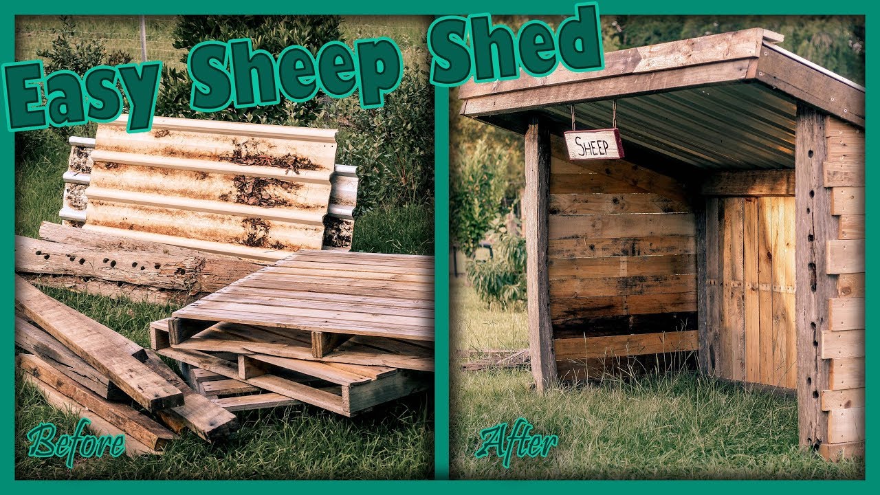 How to Build a Sheep Shelter - Easy Animal Shed - Livestock Shelter Made from Pallets/Simple Shelter